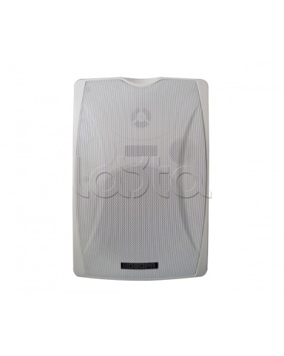 IP-громкоговоритель DSPPA POE-6463W в Томске Система оповещения и трансляции Dsppa Pintop.ru