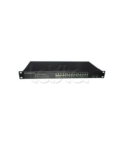 PoE-Коммутатор EverFocus ACE-224PG в Томске Коммутаторы Pintop.ru